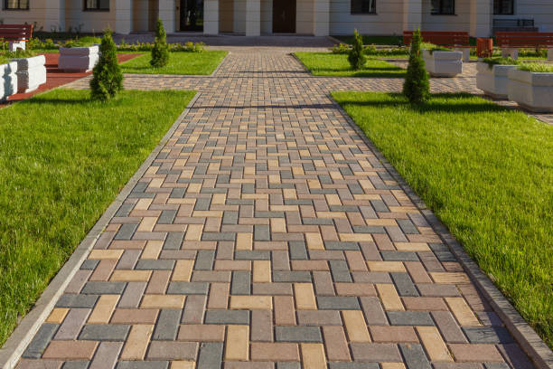 Best Driveway Paving Contractor  in Red Wing, MN